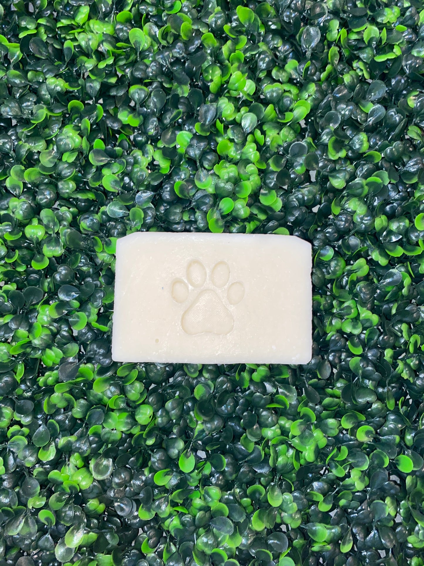 Pet Soap